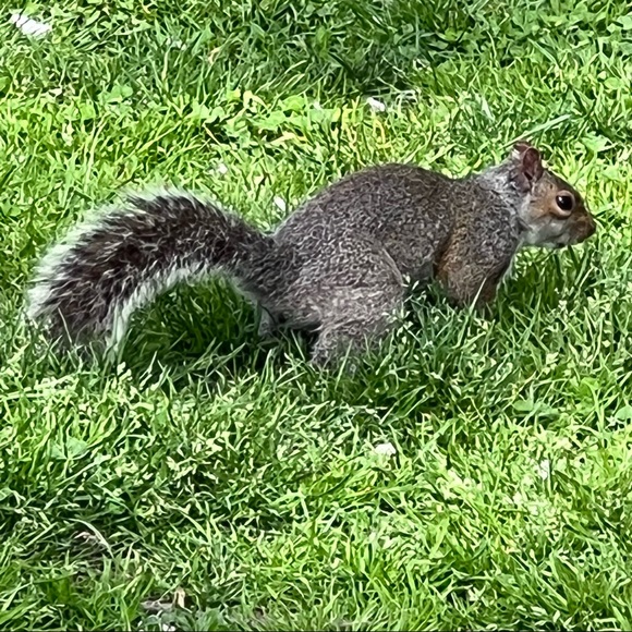 PLEASE, LIKE, FOLLOW & SHARE, SHARE, SHARE! THANK YOU!❤️❤️ - Picture 11 of 16